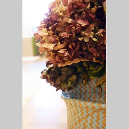 El Pisito De Rodrigo Ii アパート