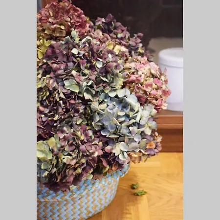 El Pisito De Rodrigo Ii アパート リバデセリャ