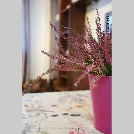 アパート El Pisito De Rodrigo Ii