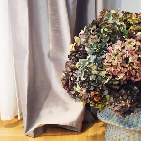 El Pisito De Rodrigo Ii * リバデセリャ